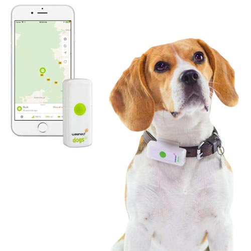 ▷ Weenect Localizador Gps Perros 【 Perro 】